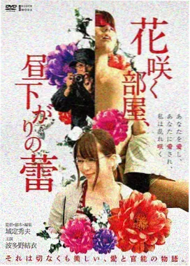 风车动漫网站机战新番《零号观测者》封面